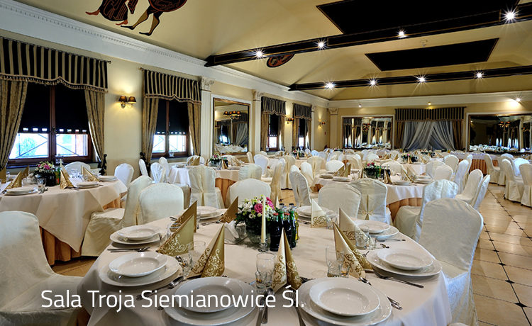 Sala Troja Hotel Diament Vacanza Siemianowice