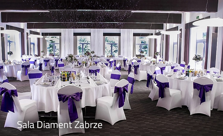 Sala Diament Park Hotel Diament Zabrze